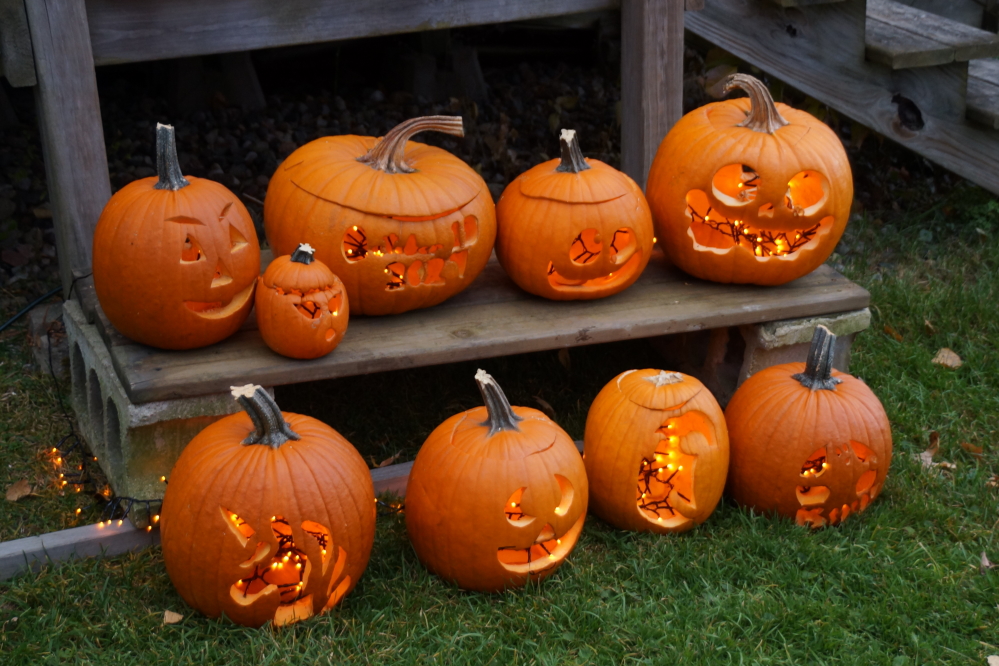 Pumpkins carved just over a week ago are starting to show signs of age.