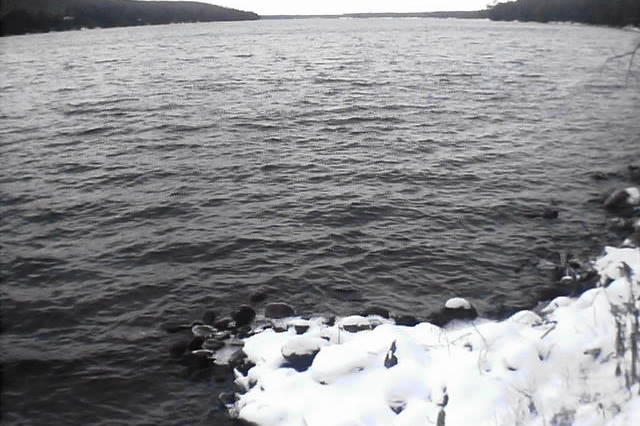 It was cooler than normal last week until the weekend. The littoral waters of Lucerne have been described as slushy, but the lake remained open. 