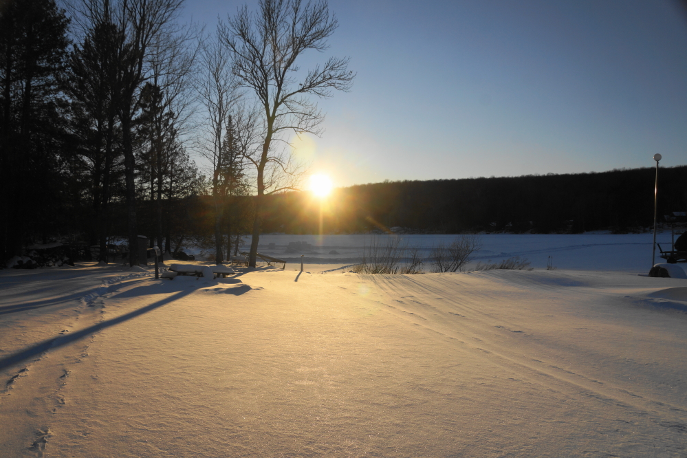 The air may have been frosty, but the sunlight is getting longer and warmer.