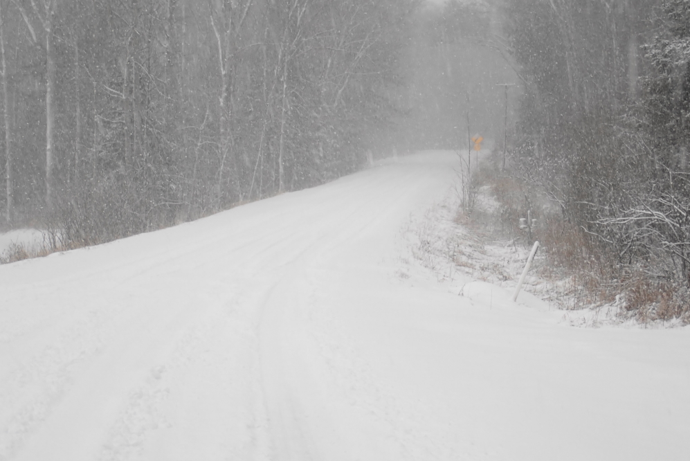 Then it snowed again. This second storm of the week lasted longer and buried the yards, woods, and roads in a thick, heavy coat of white.