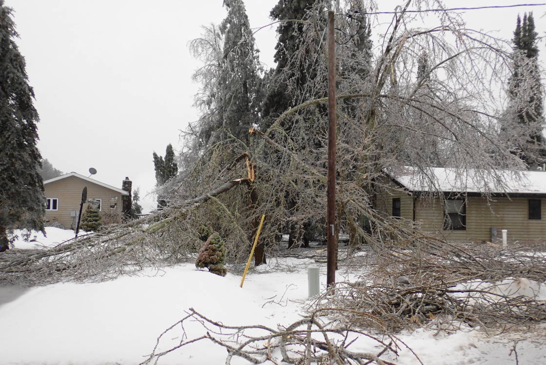 And beyond. Driving was best done slowly and with a chainsaw handy.
