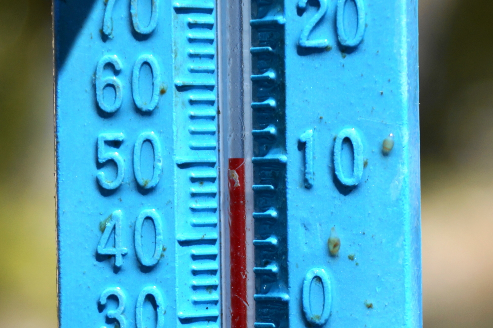 The lake temperature on the north end started at 45°F, then dropped to 43°F. It ended the week at 50°F. It has been described by those that put in some piers as insanely cold. Other pier placers stuck to a non-language based series of screams and grunts when asked to characterize the cold.