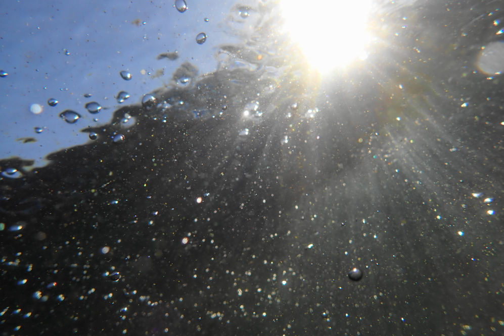 All that pollen on the beach means less pollen in the lake. Lucerne continues to enjoy some of the clearest water in the state.
