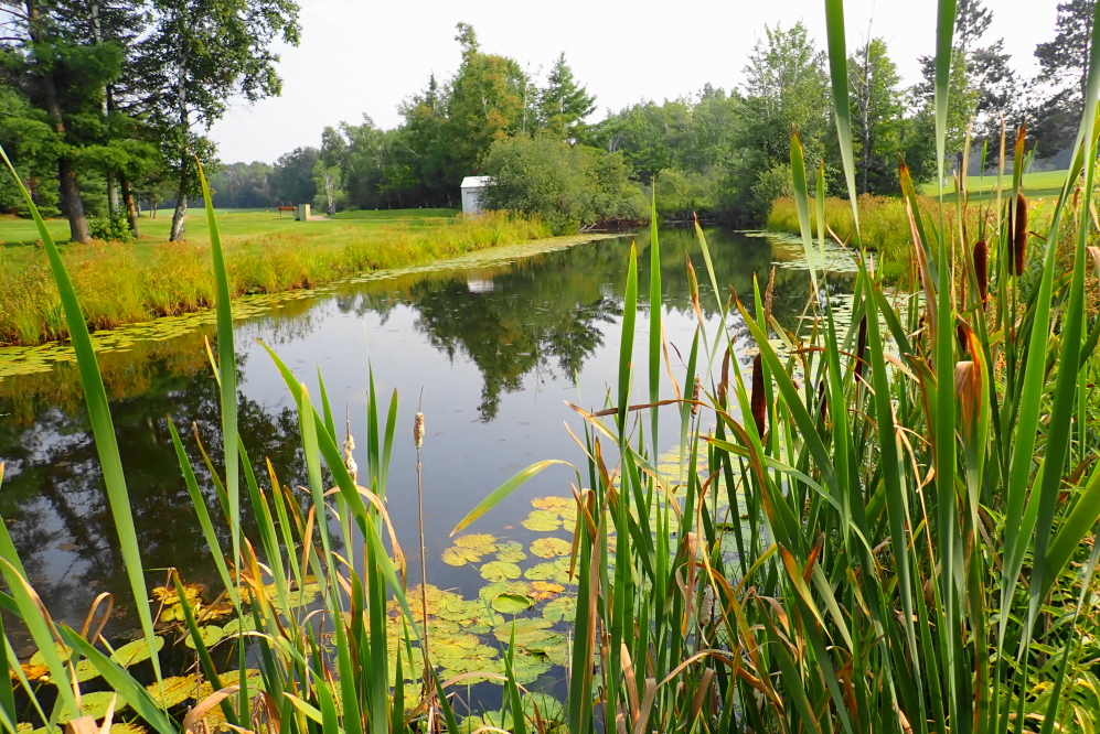 With the recent lack of rain, the water hazards are a little lower.
