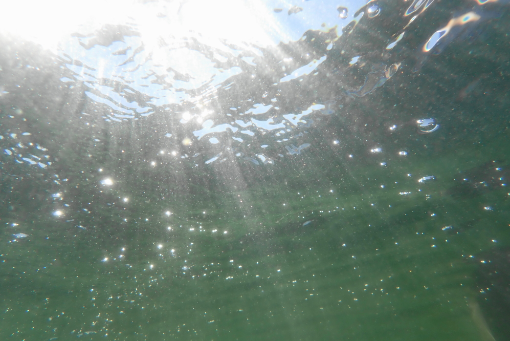 Swimming and diving is getting a little hypothermic, but it does keep down the swelling of any late season injuries.