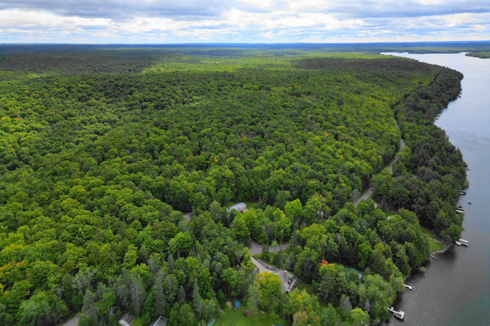 Most trees were still in their summer leafery. The predominant color in the forest remains a very July-ish green.