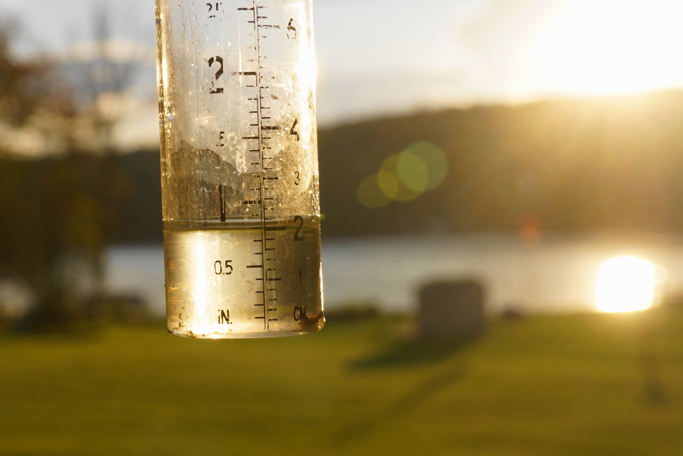 The early rain added up to not much. Maybe two tenths of an inch. The overnight rain on the weekend was much heavier, ending up with three quarters of an inch.