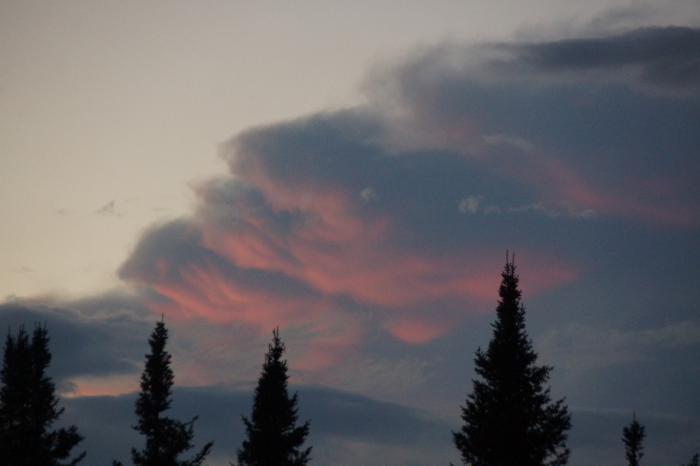 Then the clouds came back. It looks like the rain isn't over quite yet.
