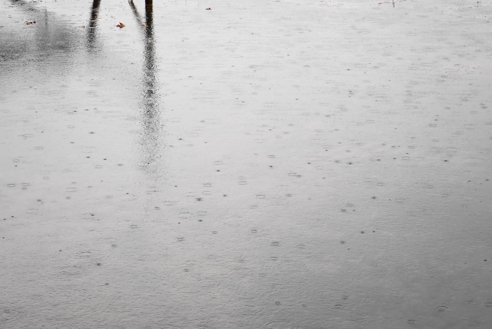 As the heat faded back into autumn, there were a few rain events.