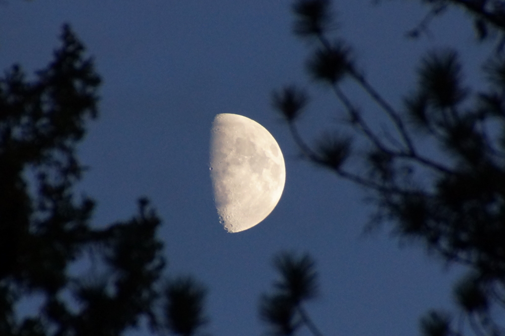 With each passing day, the cold nights were lit more and more by a waxing moon.