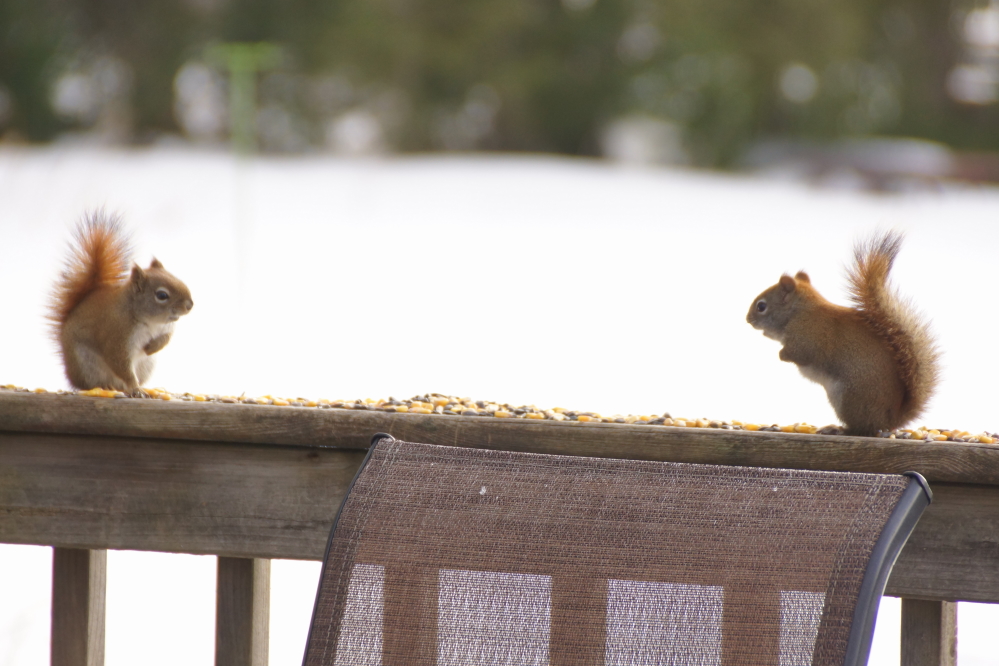 We offered a small tribute to keep the peace. It turned out not to be enough for two and a heated argument broke out.