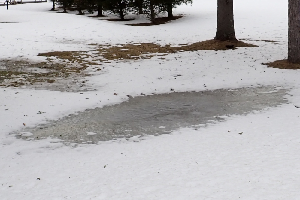 By the weekend, the nights were chilly enough to turn growing lawn puddles into tiny ice rinks.