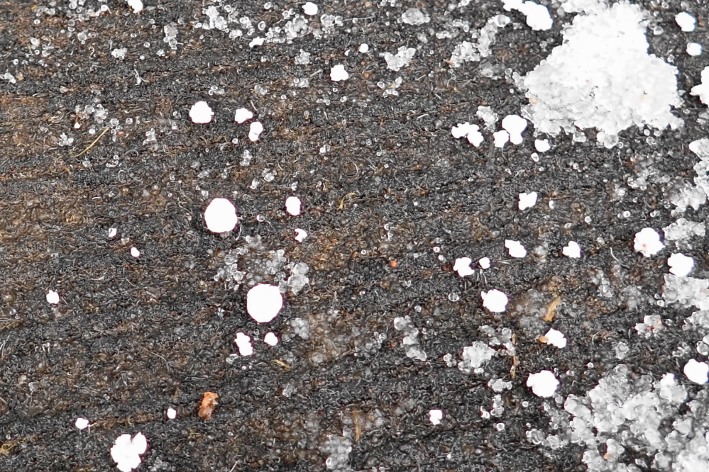 It wasn't all snow. The temperatures were close enough to freezing to produce some ice pellets and sleet.