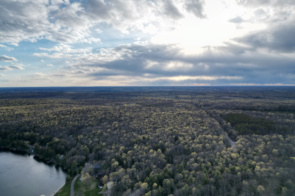 In a bold, open refusal to bend to the will of the cold, the hills around the lake are greening up fast.