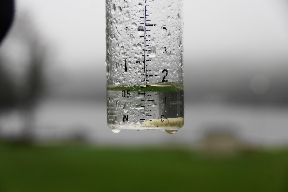 The gray at the start of the week came with complementary rain.