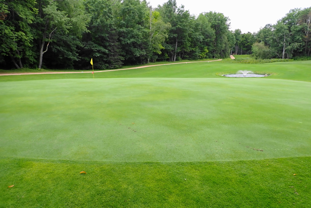 The NCC course is in great shape.